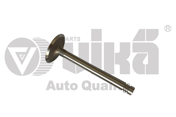 Intake Valve (11091793201)