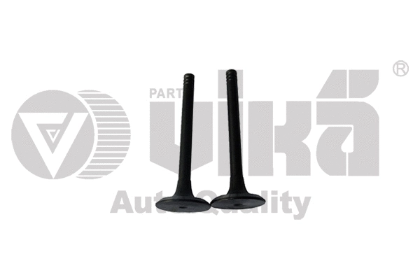 Intake Valve (11090177401)