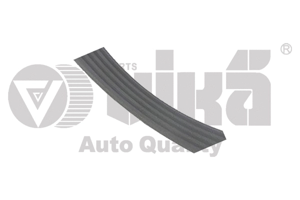 V-Ribbed Belt (11450599101)