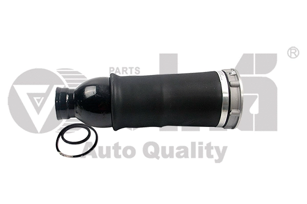 Air Suspension Strut (66160001301)