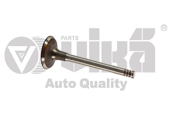 Intake Valve (11091793301)
