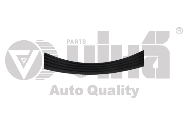 V-Ribbed Belt (19030584901)
