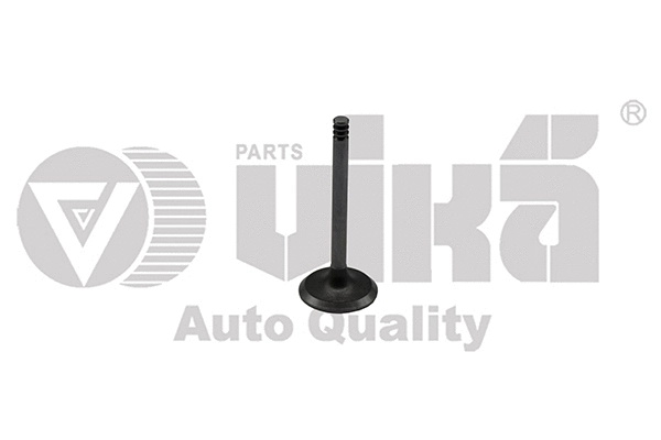 Intake Valve (11090175701)