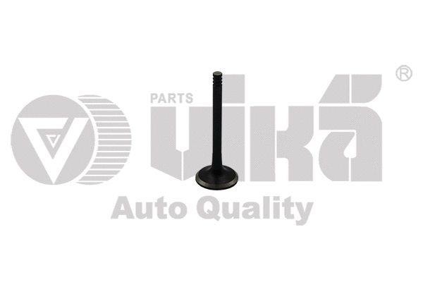 Exhaust Valve (11090213701)