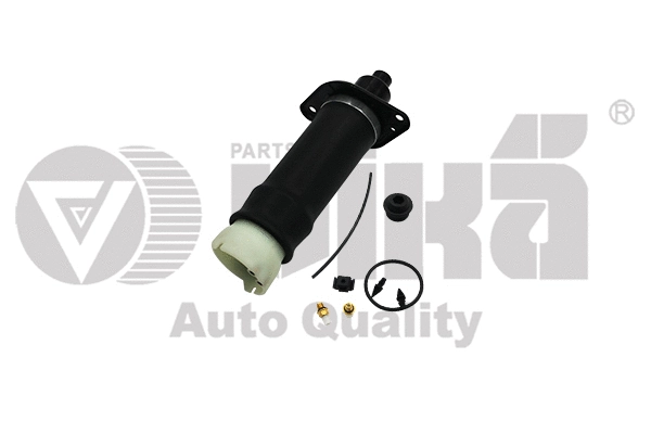 Air Suspension Strut (66160001401)