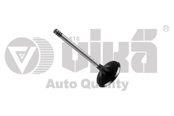 Intake Valve (11090176801)