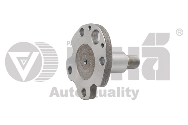 Wheel Hub (55010033601)