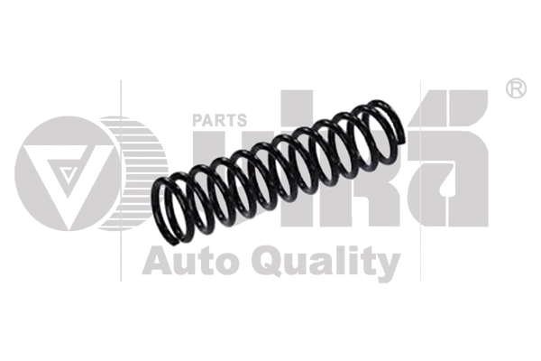Suspension Spring (55111109901)