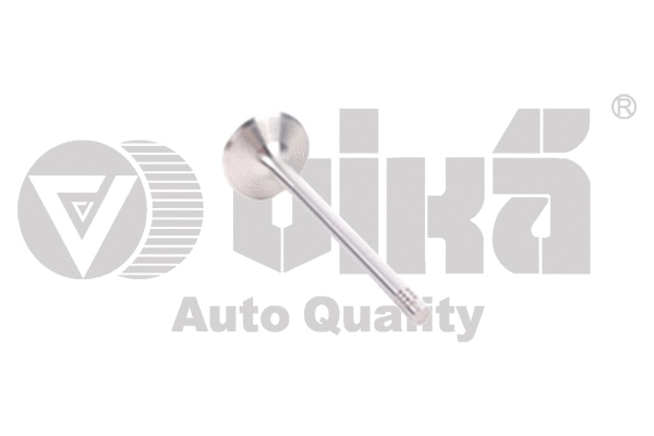 Intake Valve (11091777001)