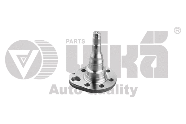 Wheel Hub (55010033801)