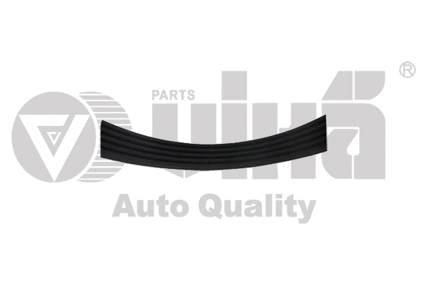 V-Ribbed Belt (12600585101)