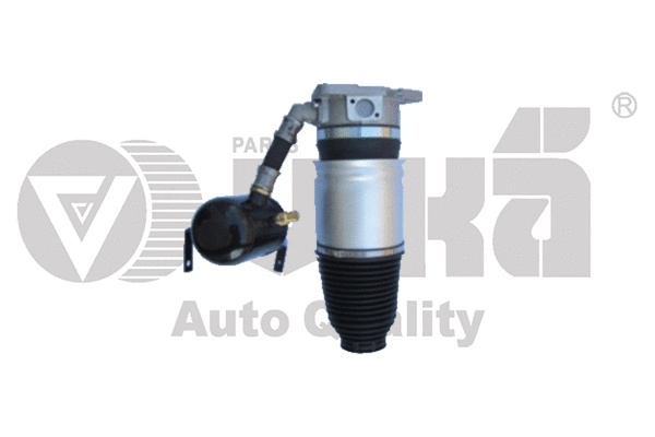 Air Suspension Strut (46160001401)