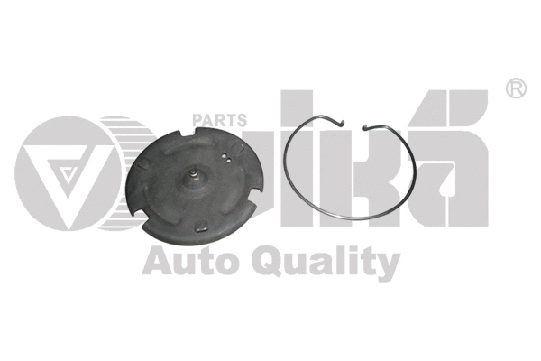 Release Plate, clutch (31410002901)
