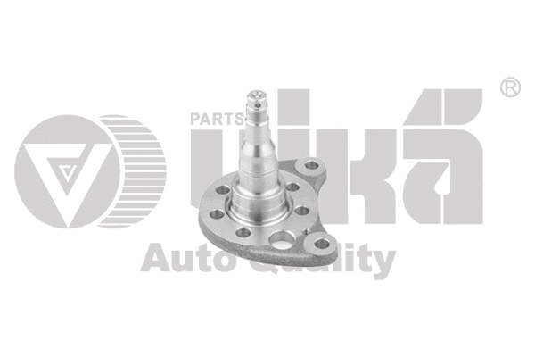 Kingpin, axle beam (55010615701)