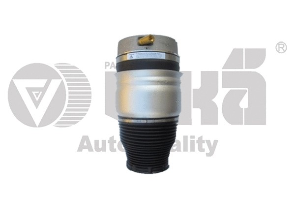 Air Suspension Strut (46160001701)