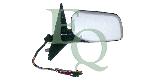 Exterior Mirror (RS01442)