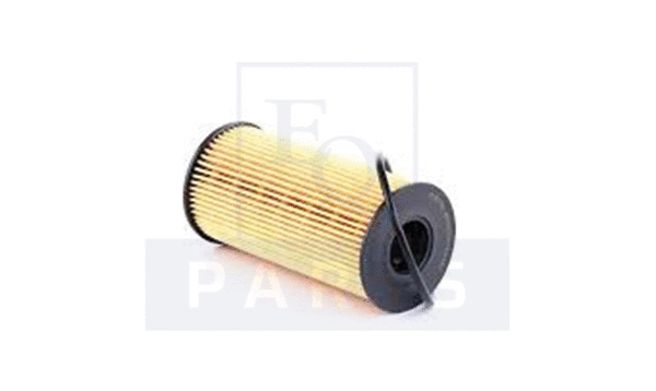 Oil Filter (FO6157)