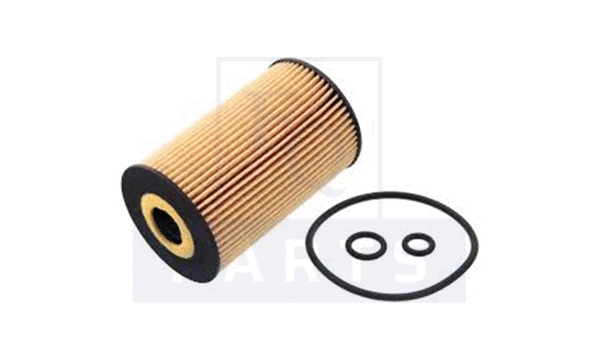 Oil Filter (FO6027)