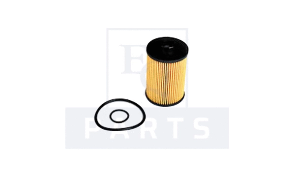 Oil Filter (FO6206)