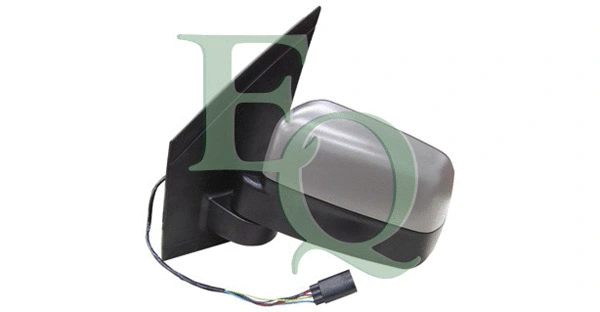 Exterior Mirror (RS02995)