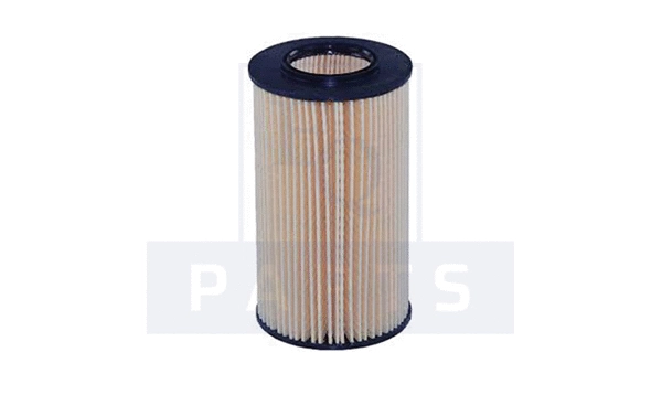 Oil Filter (FO6117)
