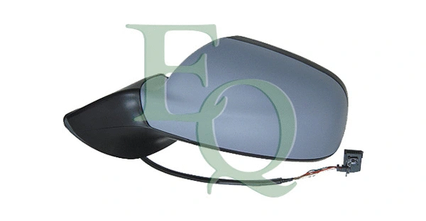 Exterior Mirror (RS02077)