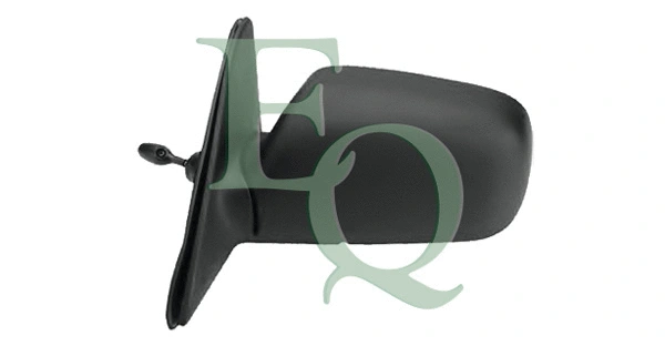 Exterior Mirror (RS01013)