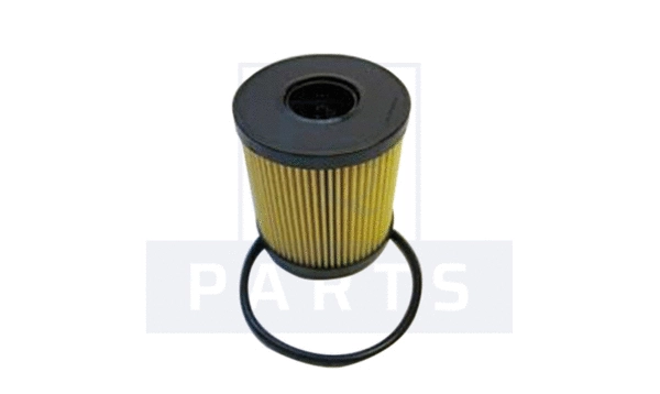Oil Filter (FO6019)