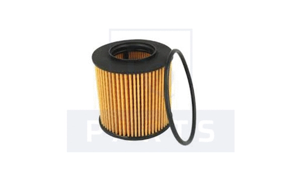 Oil Filter (FO6122)