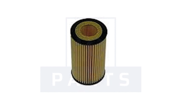 Oil Filter (FO6125)