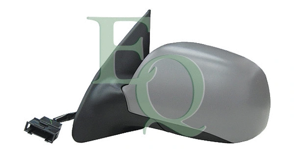 Exterior Mirror (RS01998)