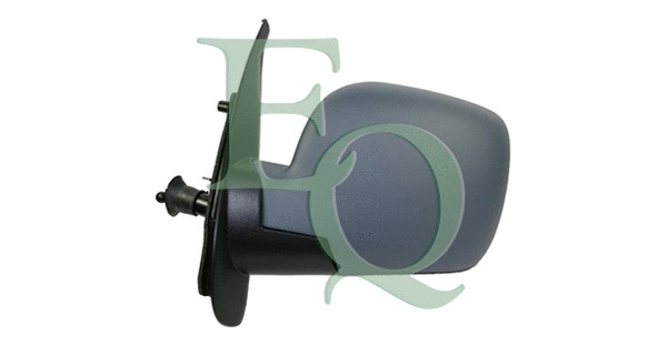 Exterior Mirror (RS02601)