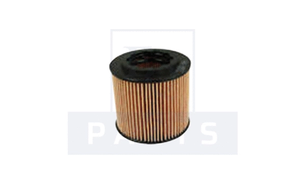 Oil Filter (FO6102)