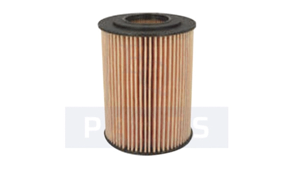 Oil Filter (FO6153)