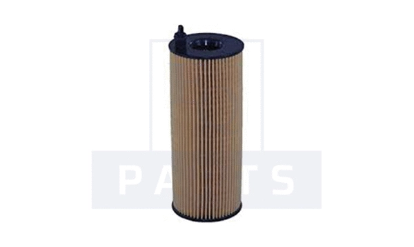 Oil Filter (FO6165)