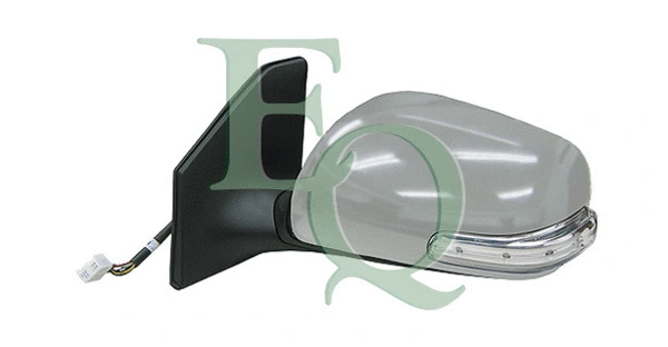 Exterior Mirror (RS02693)