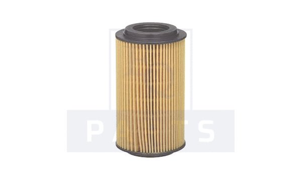 Oil Filter (FO6250)