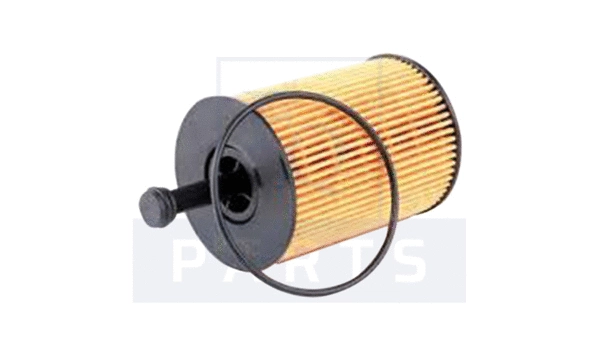 Oil Filter (FO6013)
