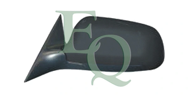 Exterior Mirror (RS02300)