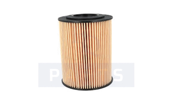 Oil Filter (FO6085)