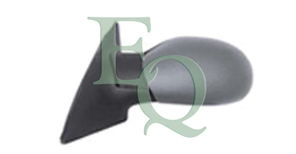 Exterior Mirror (RD01120)