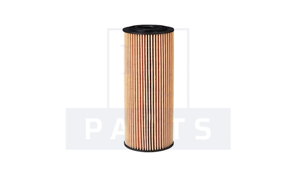 Oil Filter (FO6038)