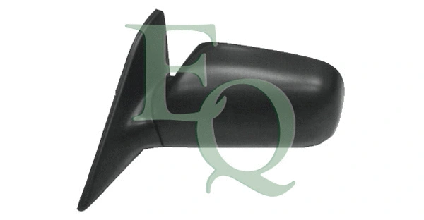 Exterior Mirror (RS01014)