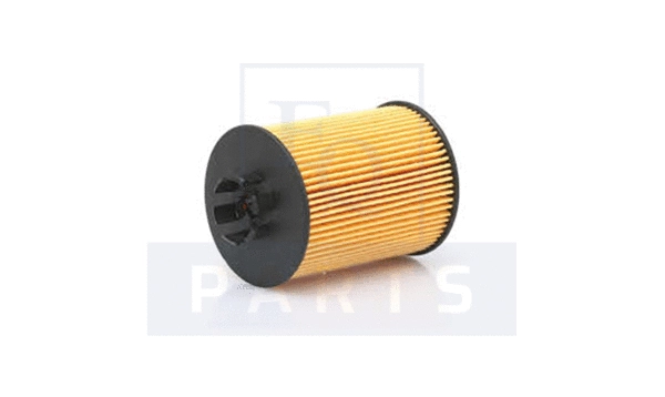 Oil Filter (FO6210)