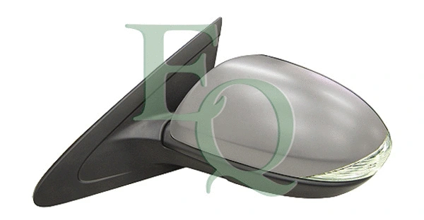 Exterior Mirror (RS02907)