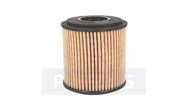 Oil Filter (FO6083)