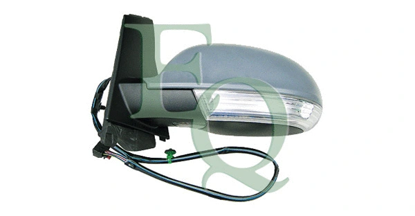 Exterior Mirror (RS02093)