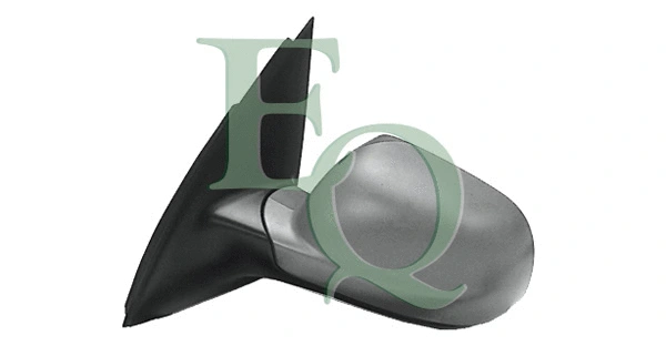 Exterior Mirror (RD01063)