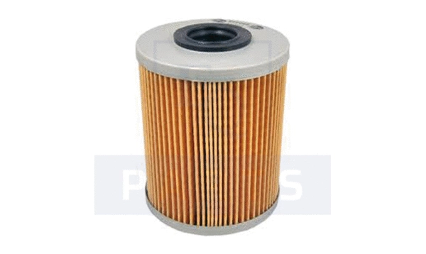 Fuel Filter (FC4119)