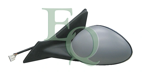 Exterior Mirror (RS02094)